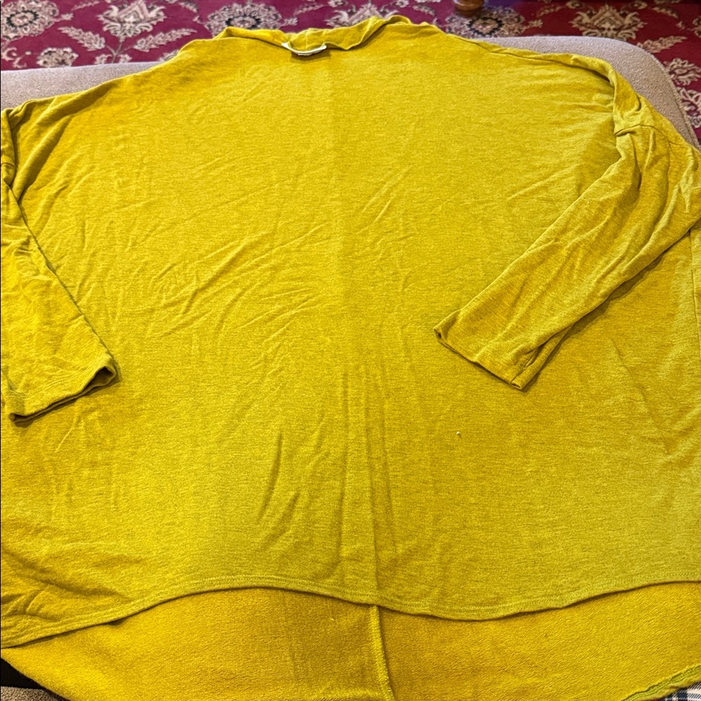 Bryn Walker Size XL Loose Fit Pullover Thin Sweatshirt 3/4 Sleeve (TD)